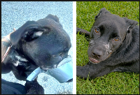 before and after cooper